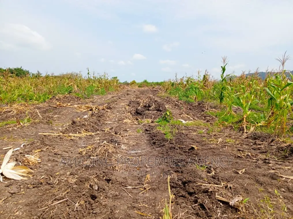 *Land Available for Sale at Oyibi* 48 Acres of Land in Oyibi