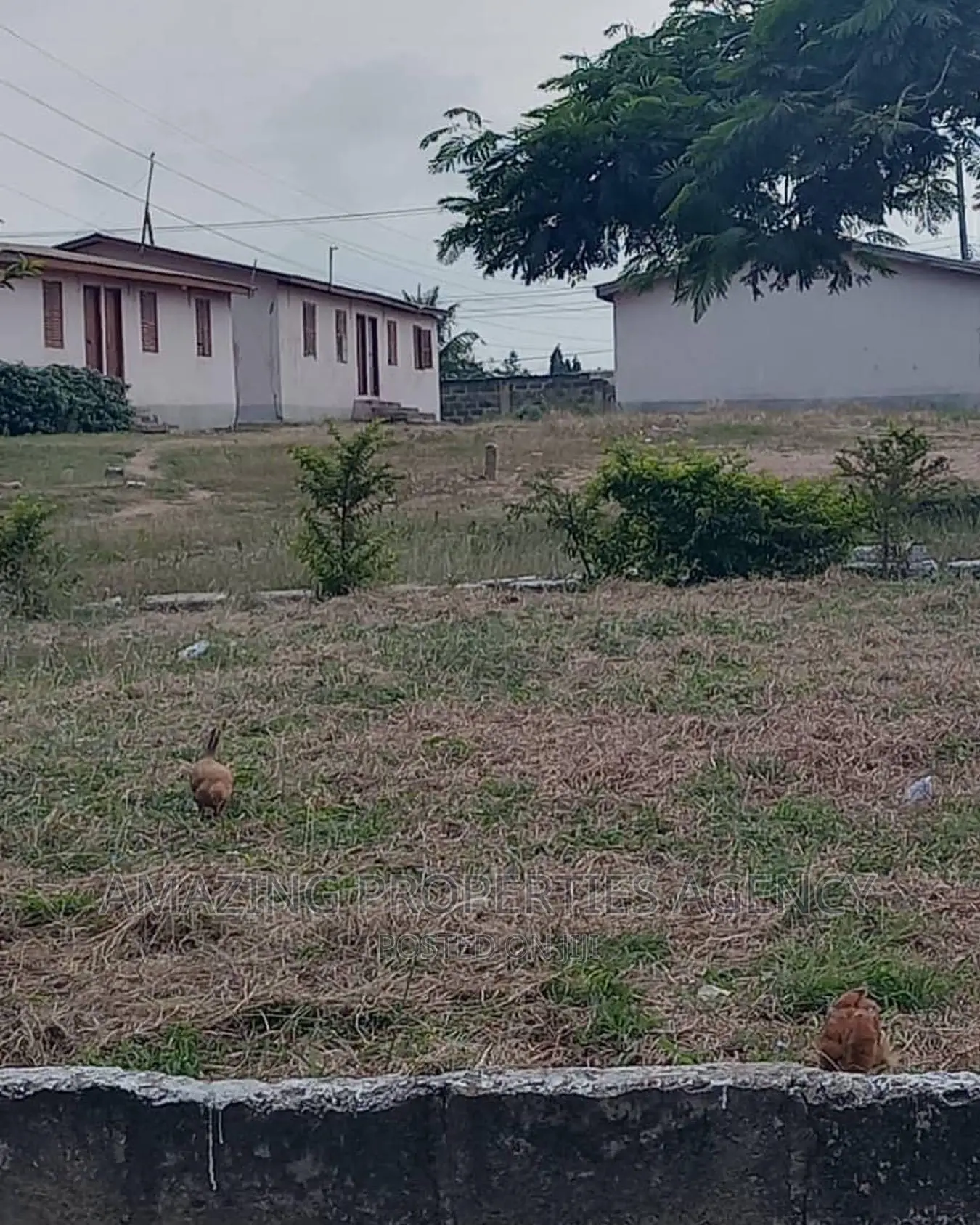 1) Land Size: 12 Plots; 2) Location: Sakaman in Sakaman