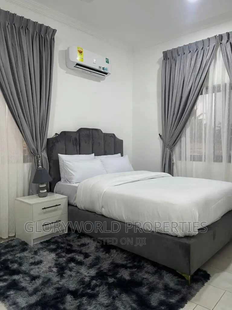 Executive Furnished 2 Bedroom Apartment at Dansoman in Dansoman