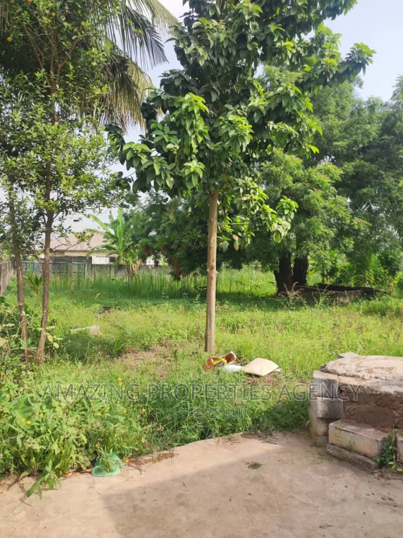 0.52 Acre of Roadside Land for Sale at Ringway Estate in Osu