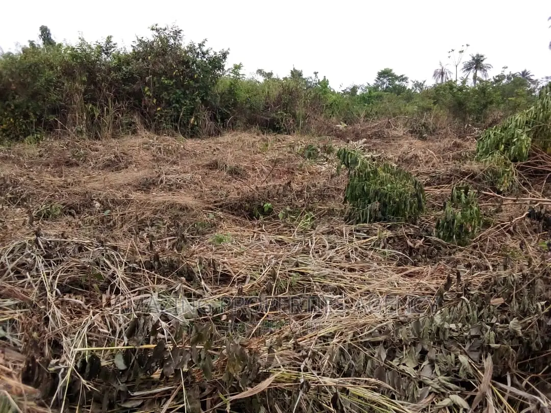 20 Acres of Land,Walled and Gated Tema, in Tema Metropolitan