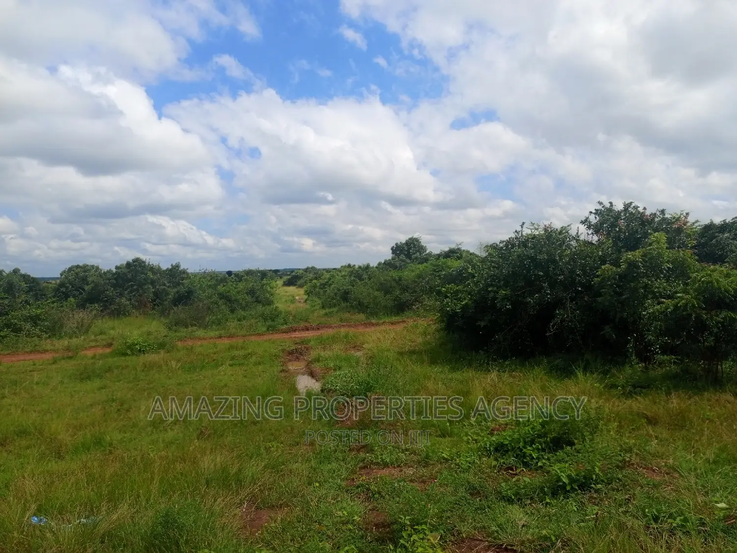 20 Acres of Roadside Land for Sale West Trasacco Borteyman. in Tema Metropolitan