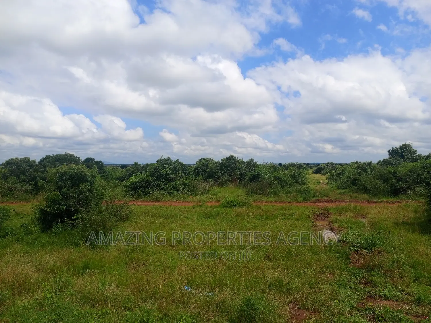 20 Acres of Roadside Land for Sale West Trasacco Borteyman. in Tema Metropolitan
