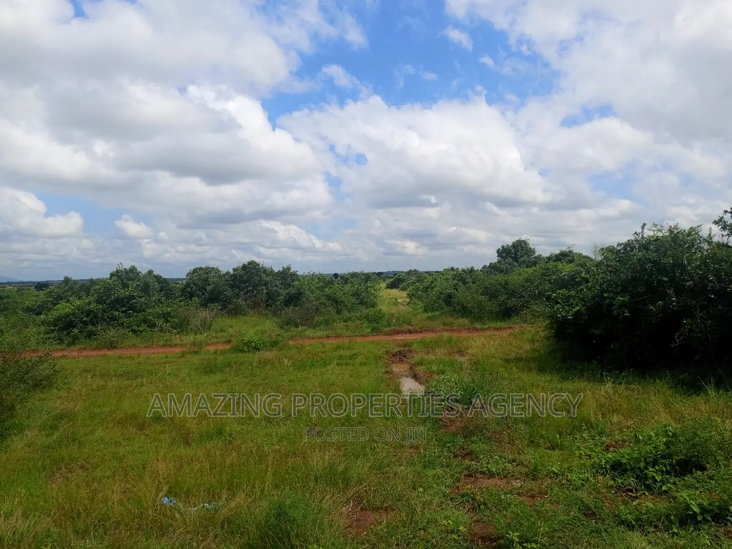 20 Acres of Roadside Land for Sale West Trasacco Borteyman. in Tema Metropolitan