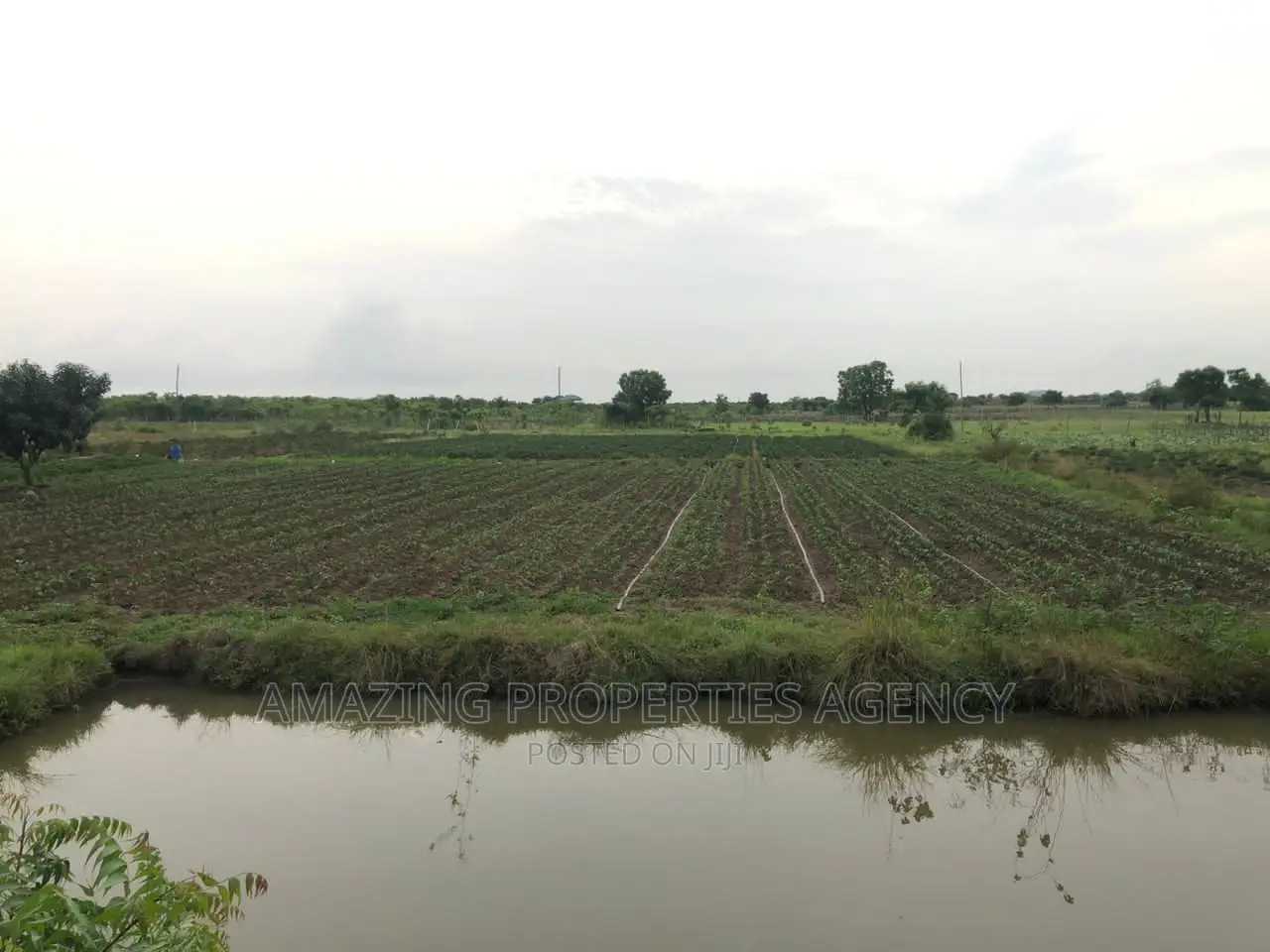 40000 Acres of Farmland at Juapong in North Tongu