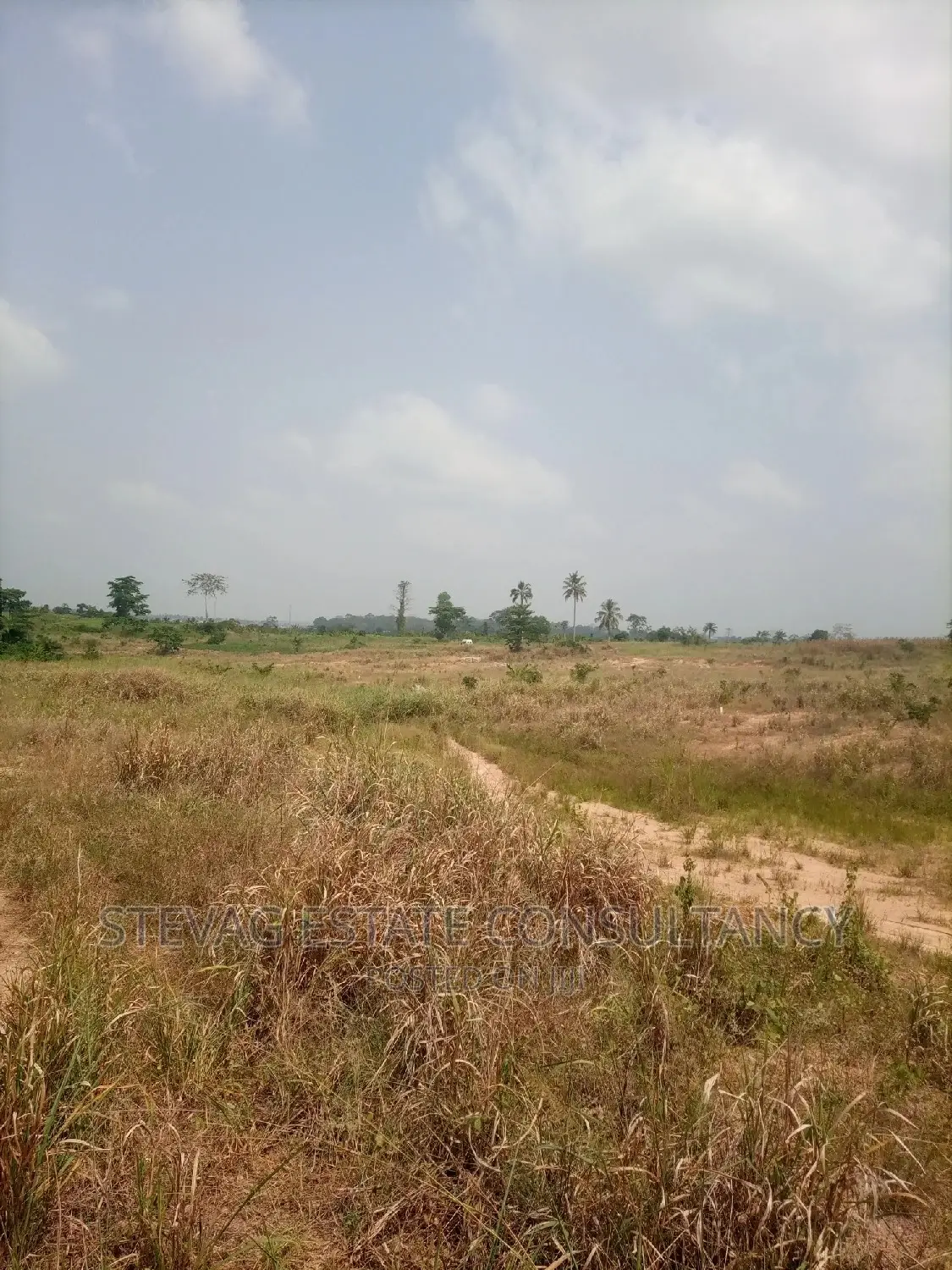Alpha Properties Real Estate Land for Sale at Adawukwa in Awutu Senya East Municipal