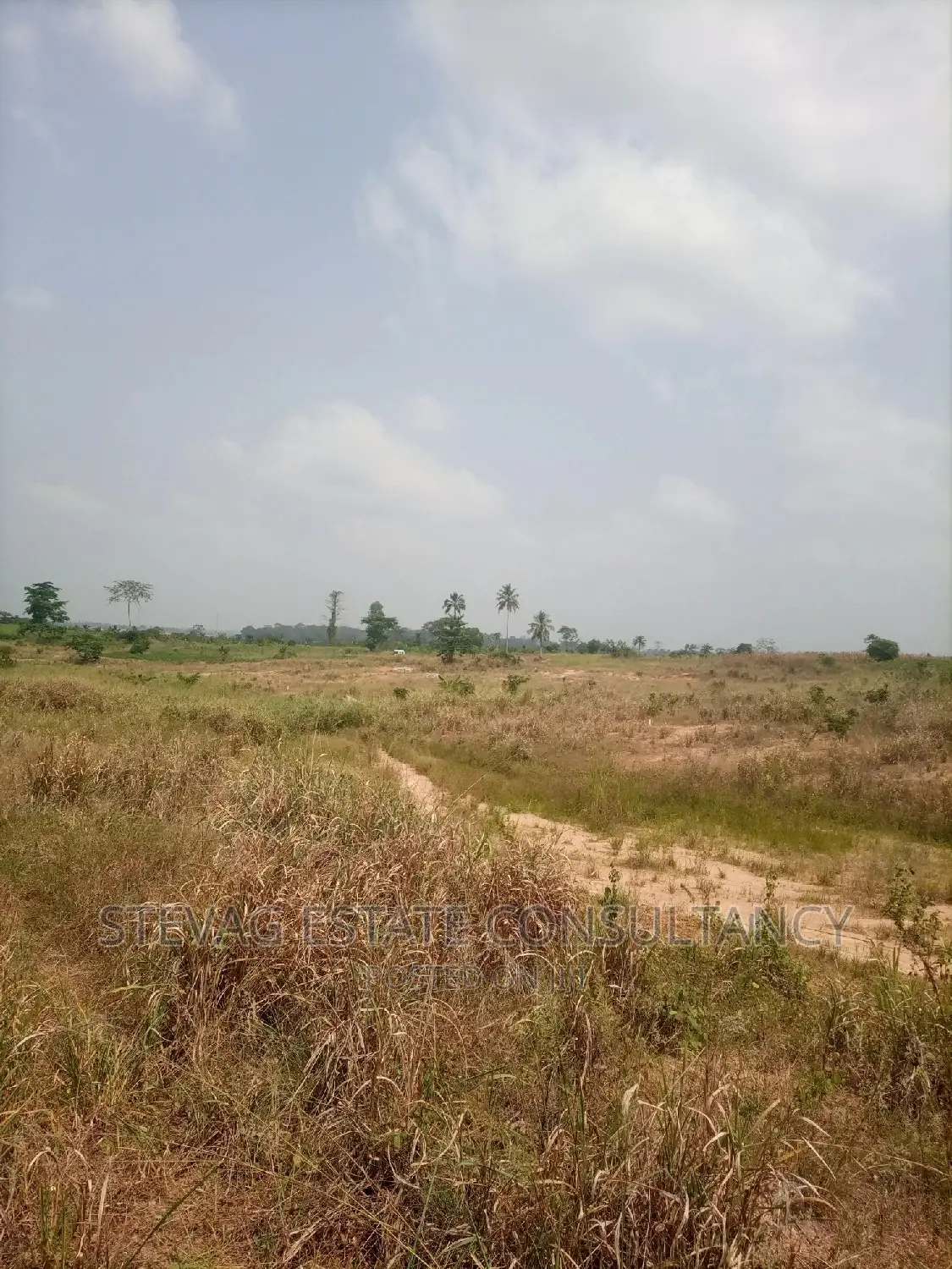 Alpha Properties Real Estate Land for Sale at Adawukwa in Awutu Senya East Municipal