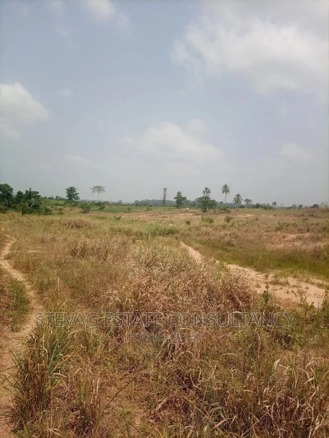 Alpha Properties Real Estate Land for Sale at Adawukwa in Awutu Senya East Municipal