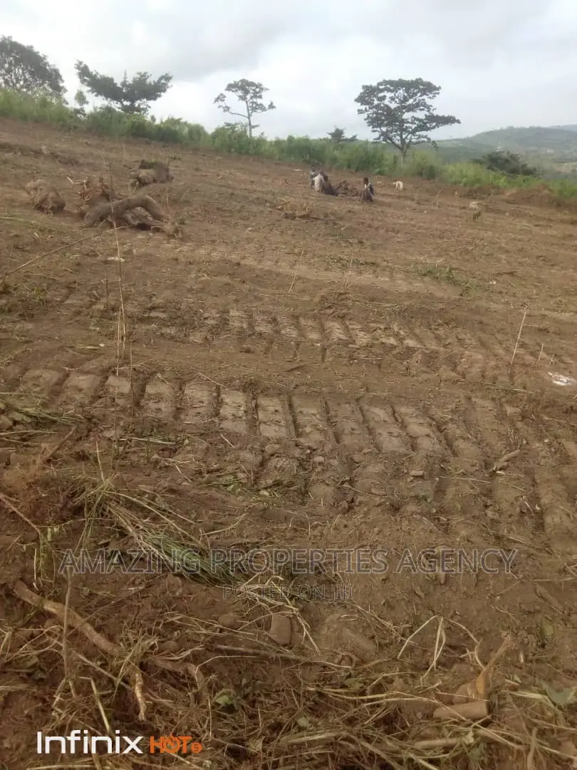 200 Acres of Land for Sale at Dodowa in Dodowa