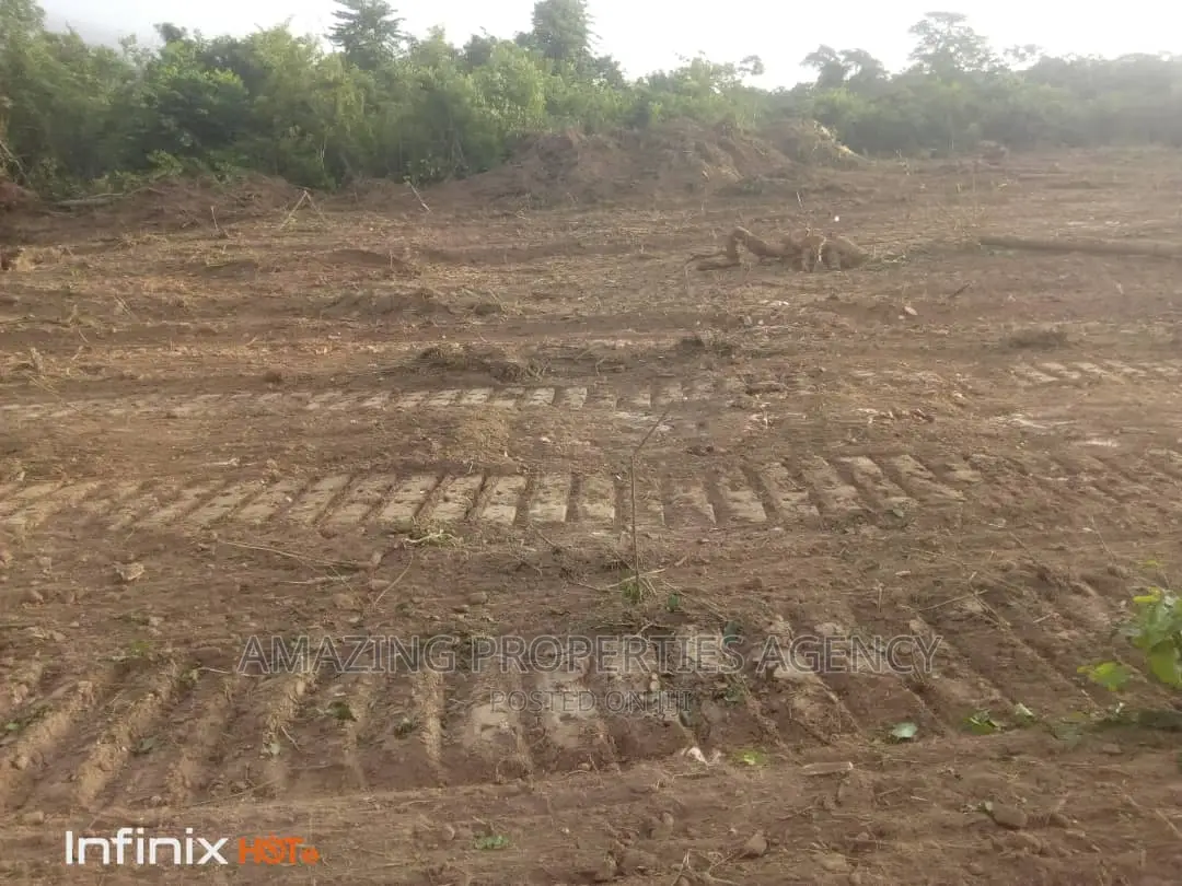 1 Acre Titled Land for Sale at Tesano in Tesano