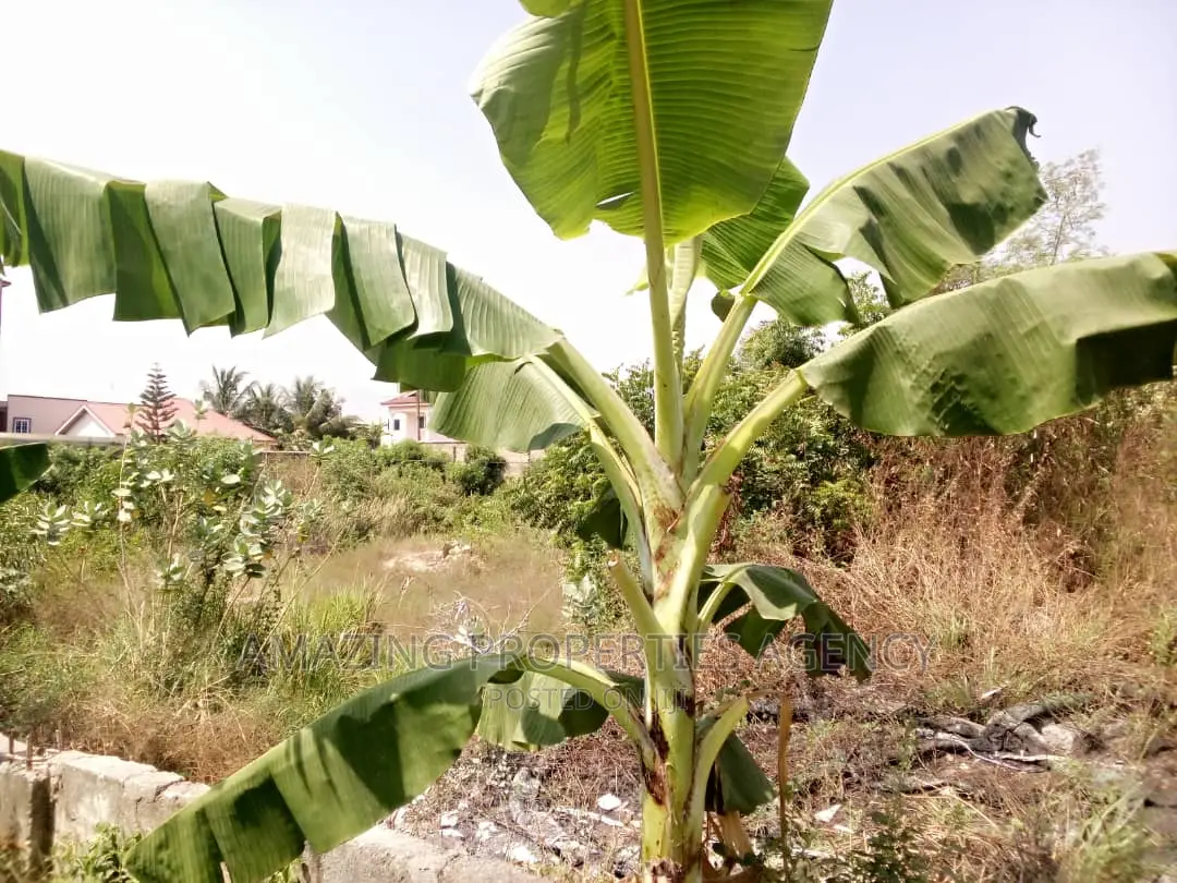 8 Acres of Land at Tema Community 3 in Tema Metropolitan