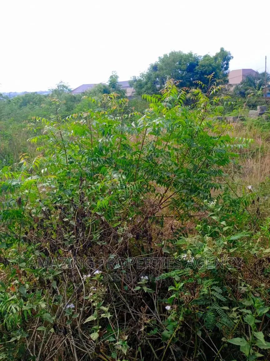 Commercial Land for Sale at Spintex in Spintex