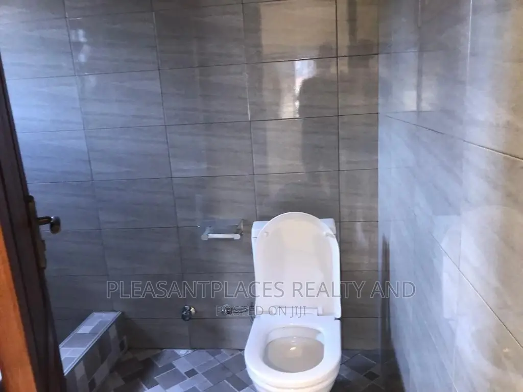 2bdrm Apartment in Pleasantplaces, Haatso for rent in Haatso