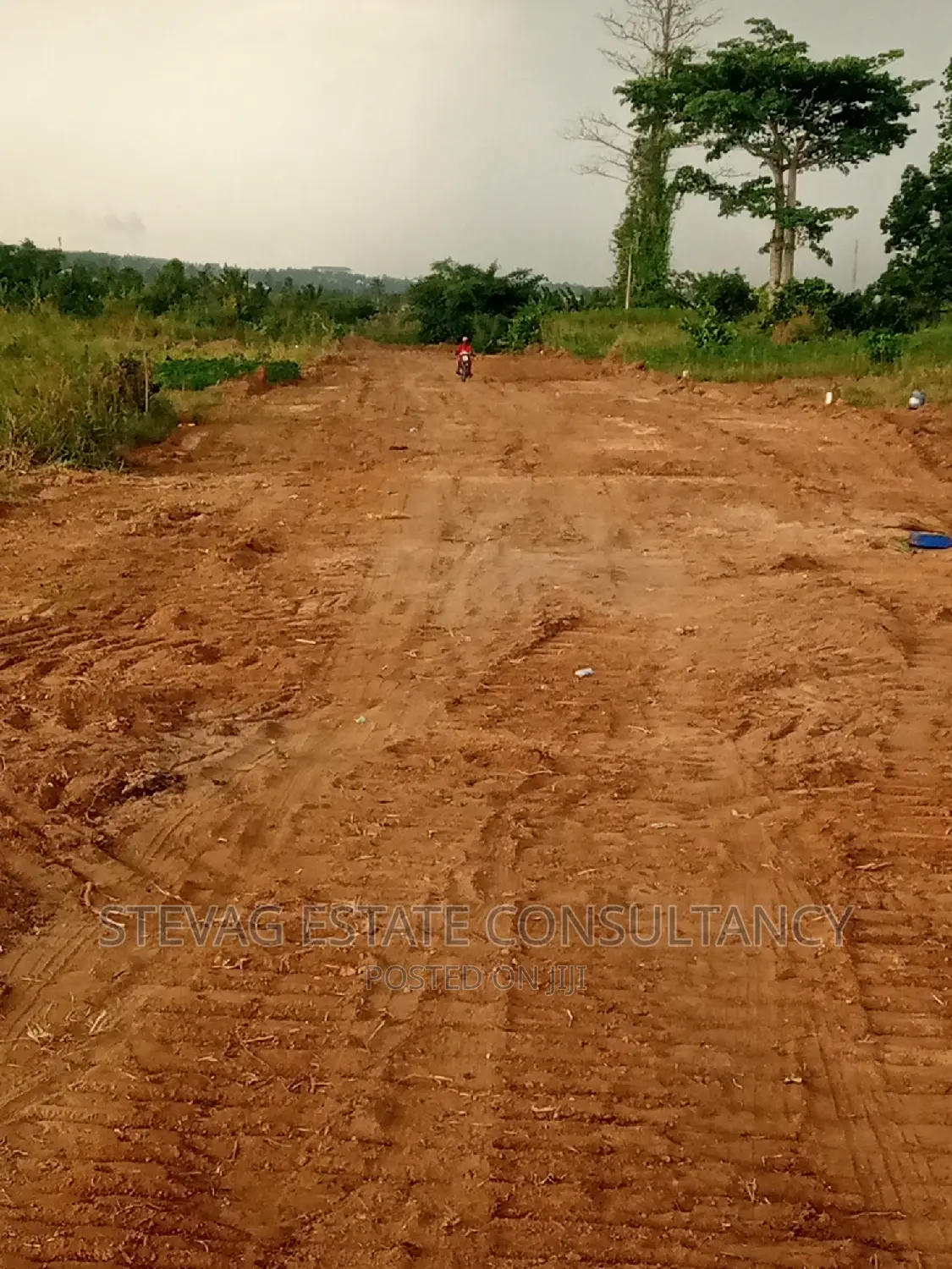 Alpha Properties Real Estate Land at Kasoa Adawukwa 4sale in Awutu Senya East Municipal