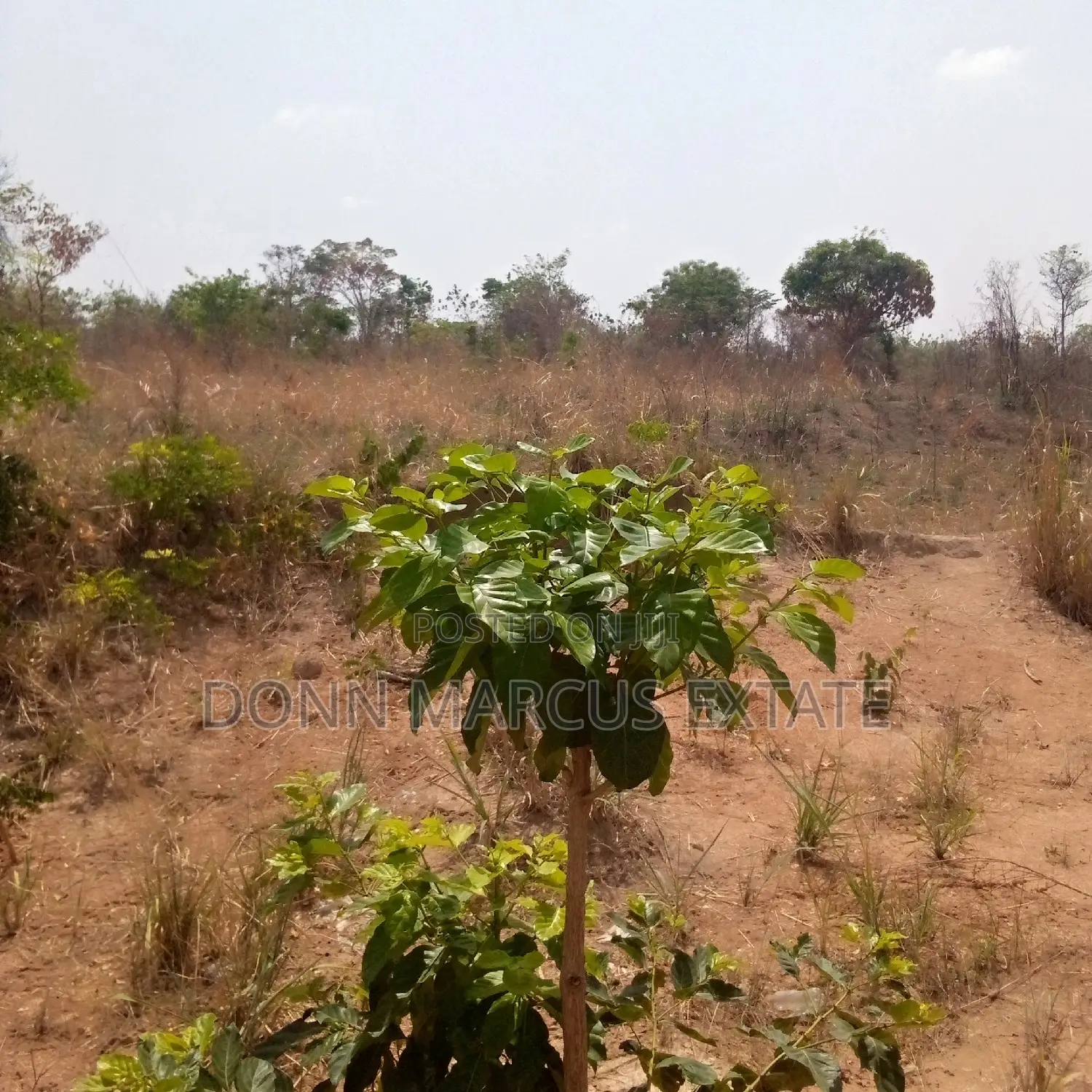 Land for Sale in Kumasi Metropolitan
