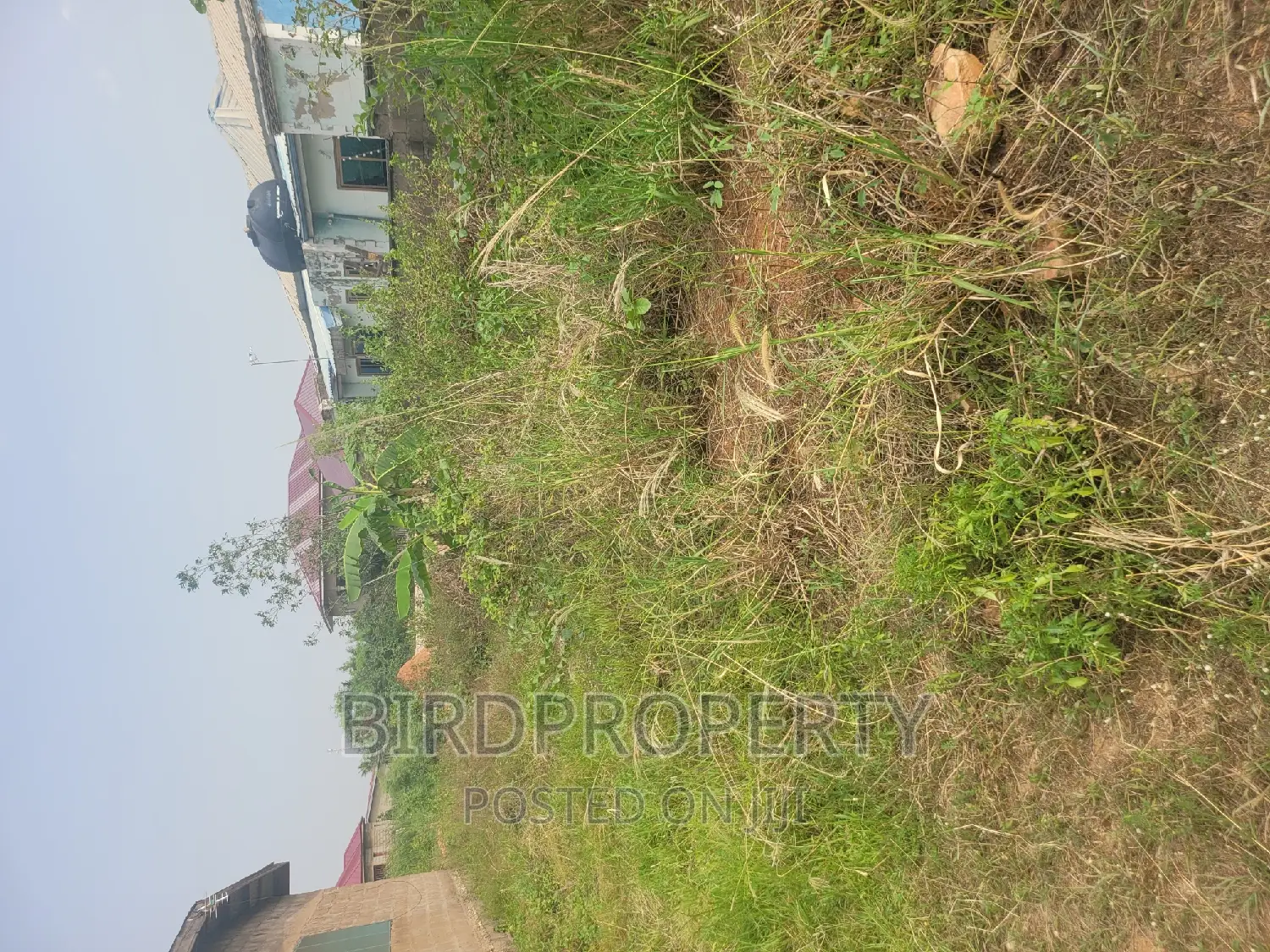 Half Plot of Land in Oyibi