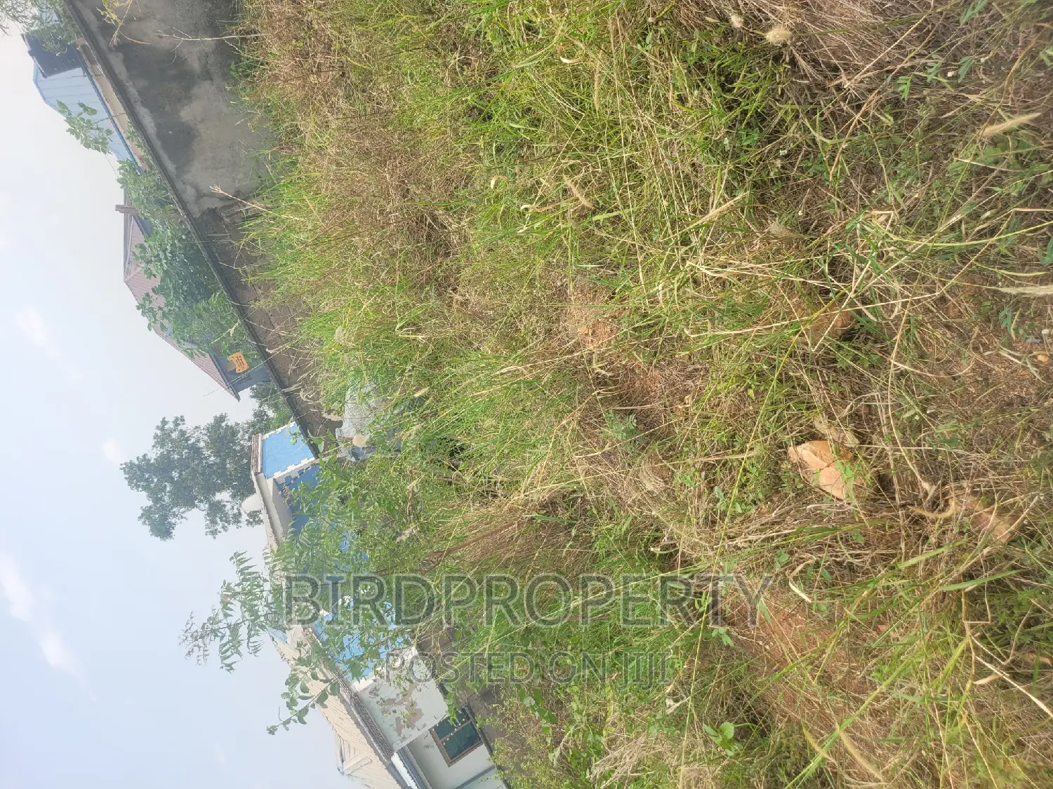 Half Plot of Land in Oyibi