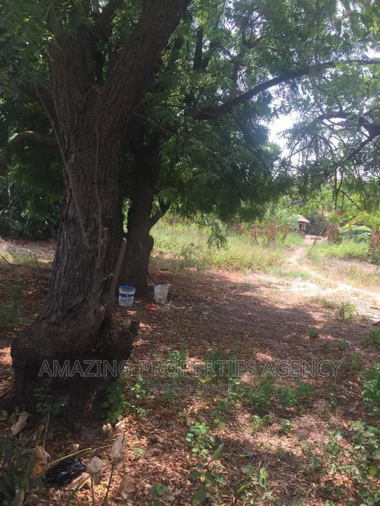 A. One Acres Land at North Industrial Area in North Industrial Area