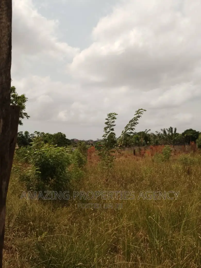 6 Plots of Land for Sale at Dawenya in Dawhenya