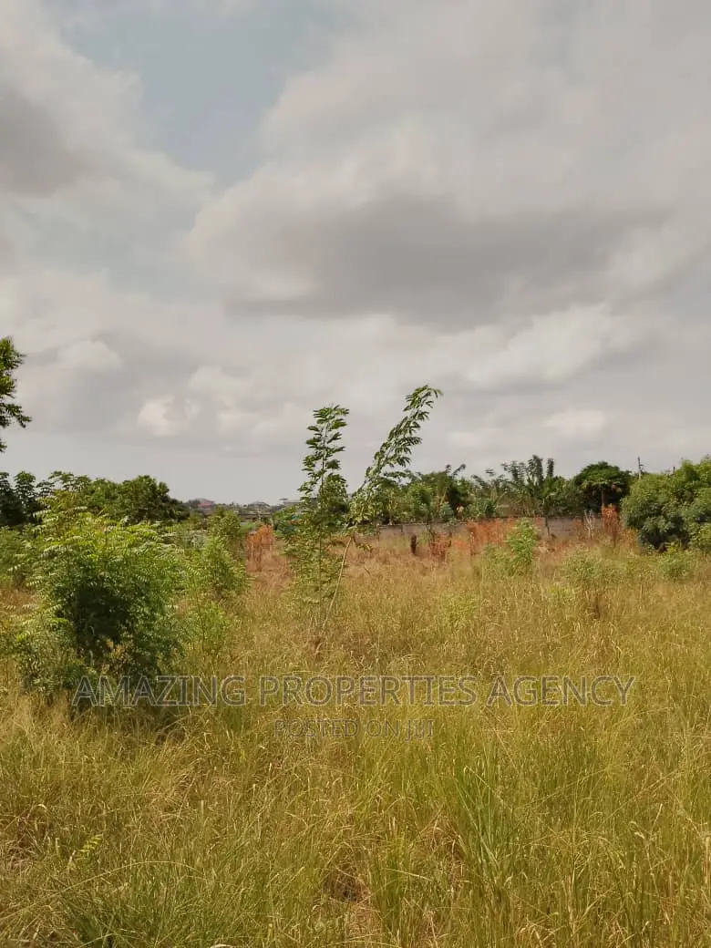 6 Plots of Land for Sale at Dawenya in Dawhenya