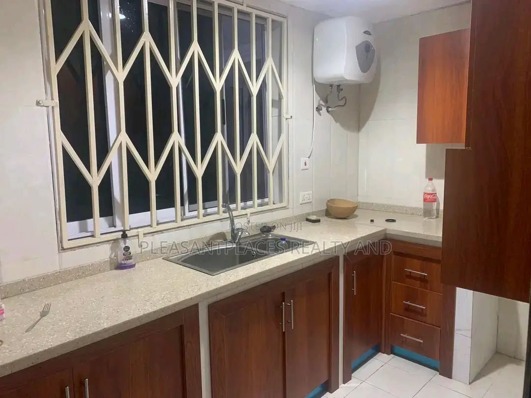 2bdrm Apartment in Pleasantplaces, Dzorwulu for rent in Dzorwulu