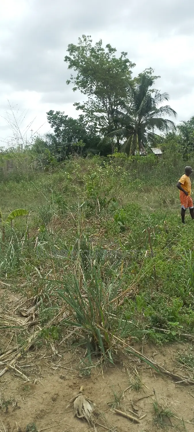 Registered Land for Sale in Ayensuano