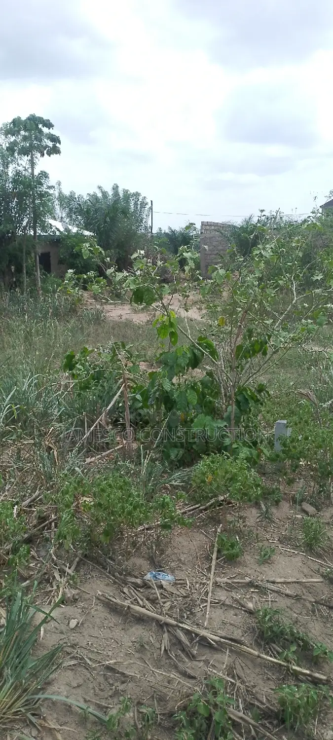 Registered Land for Sale in Ayensuano