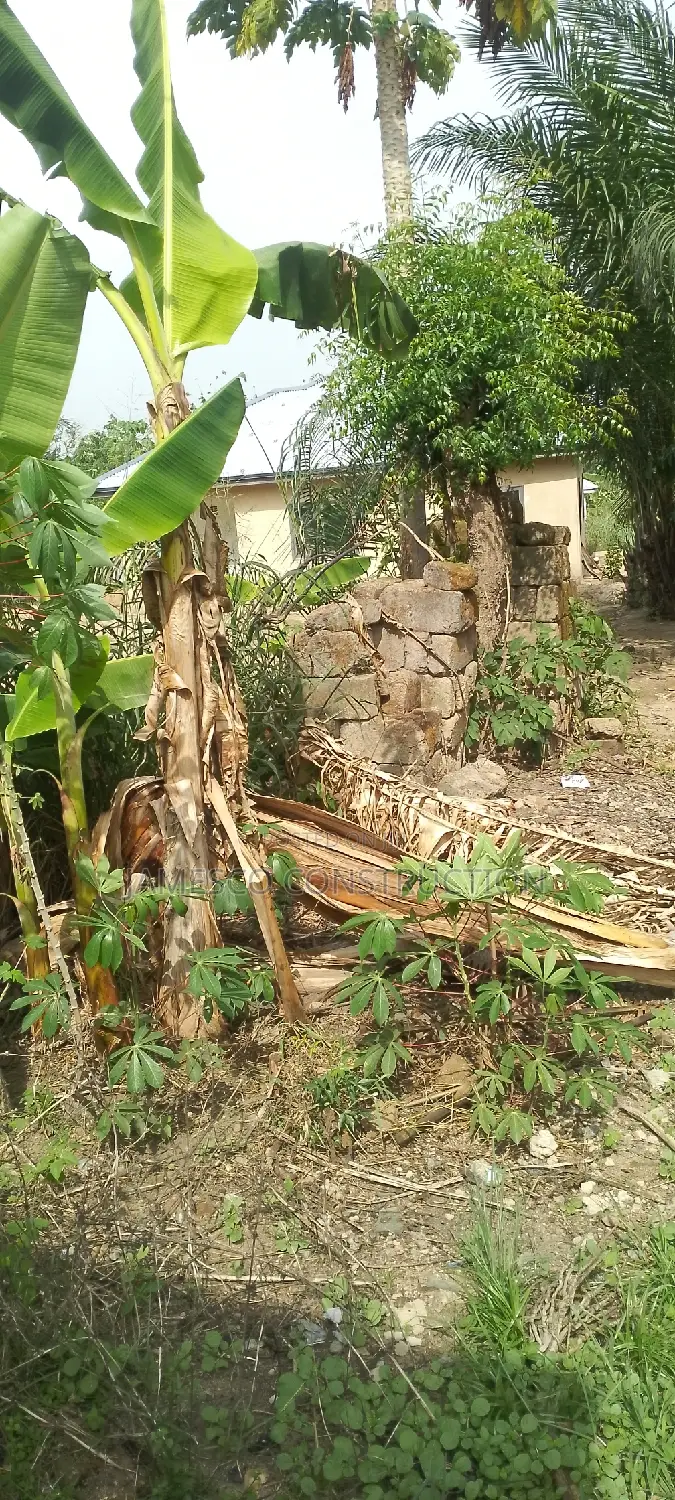 Residential Property for Sale in Ayensuano