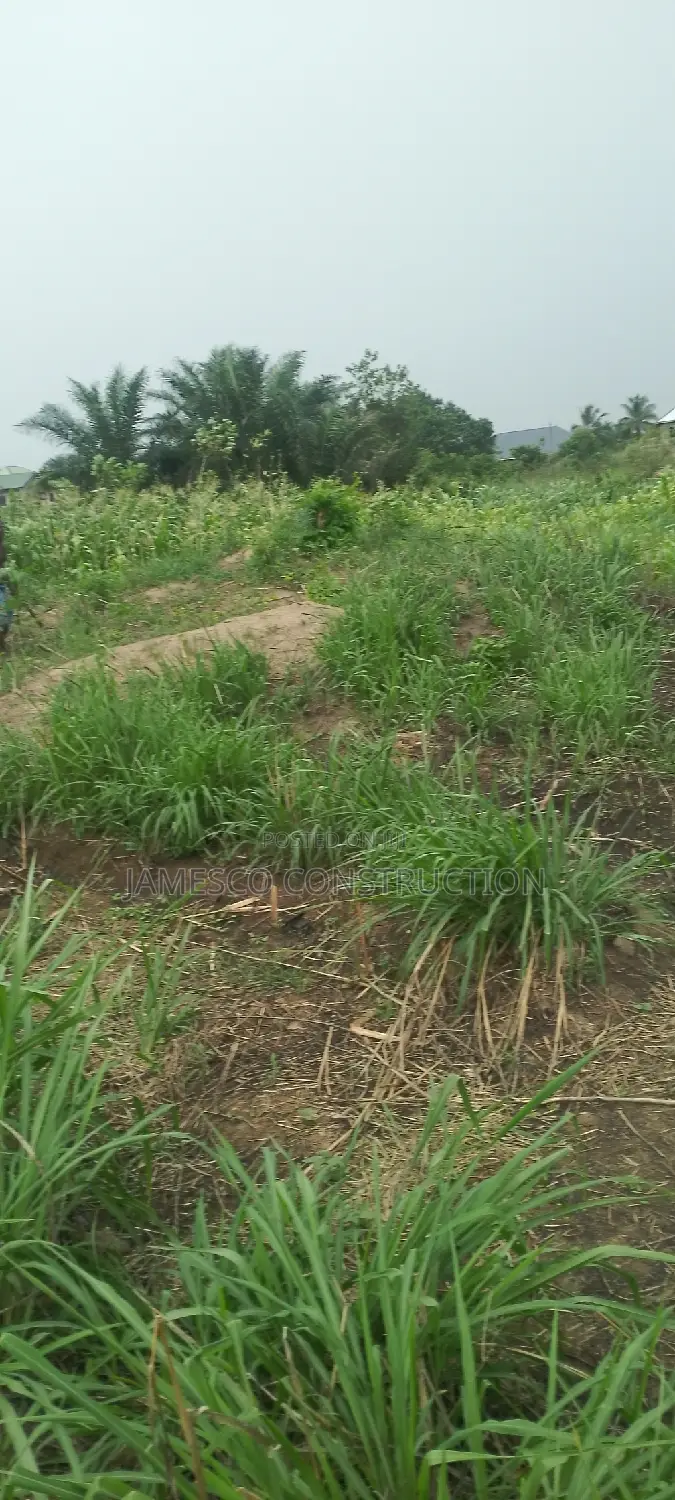 Residential Land for Sale in Ayensuano