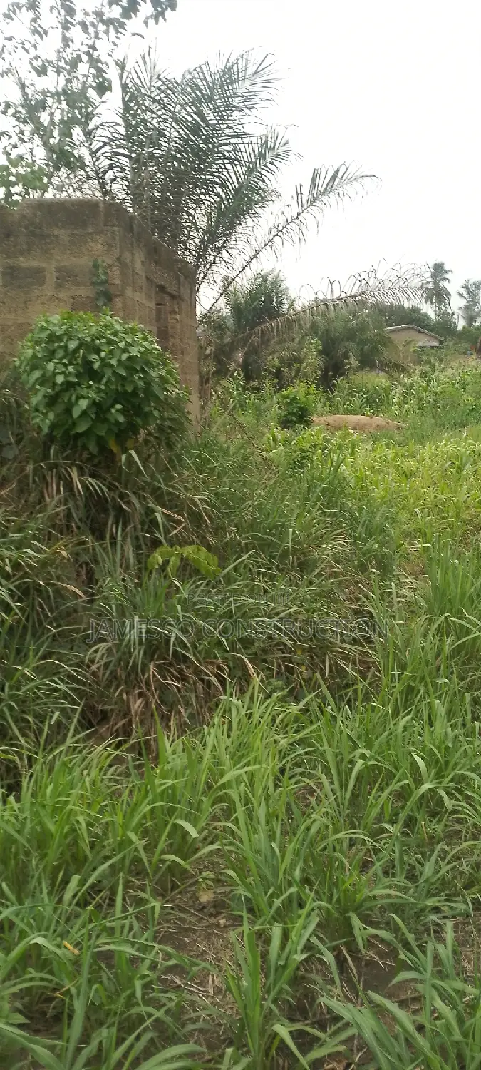 Residential Land for Sale in Ayensuano