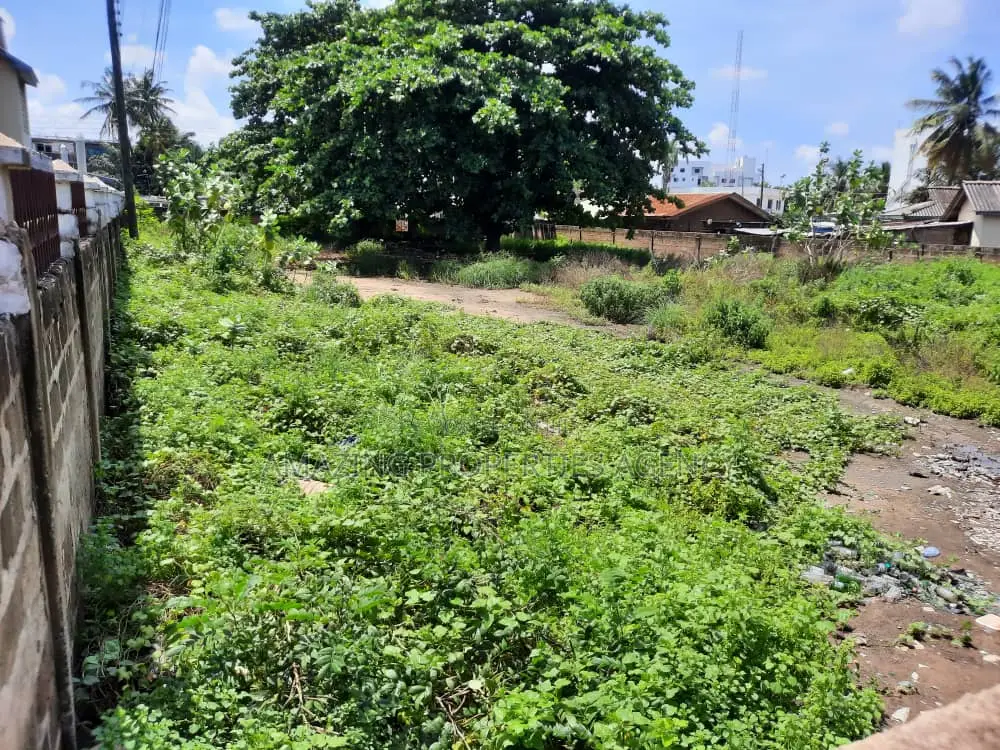 A 2 Acres of Land Available Around Dzowulu Perez in Dworwulu
