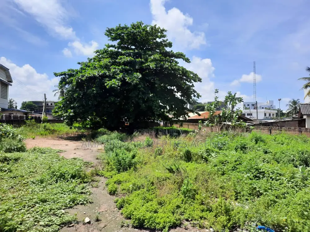 A 2 Acres of Land Available Around Dzowulu Perez in Dworwulu