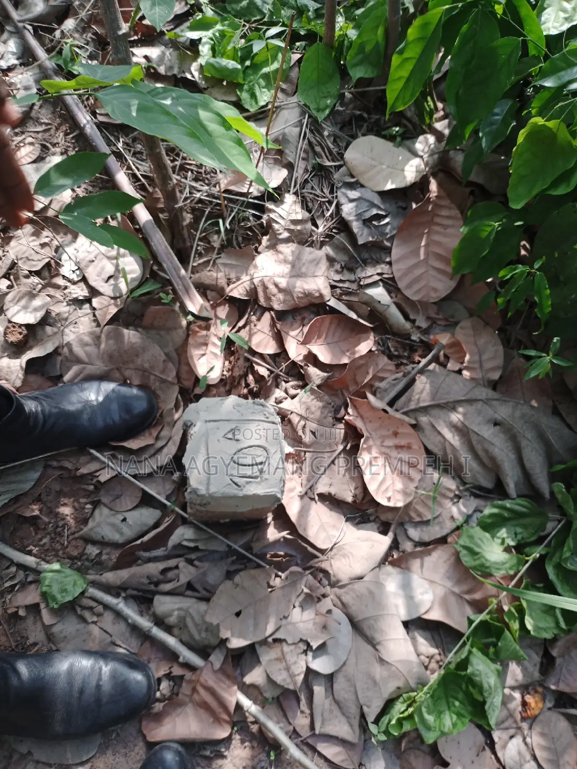 Land for Residence in Sunyani Municipal