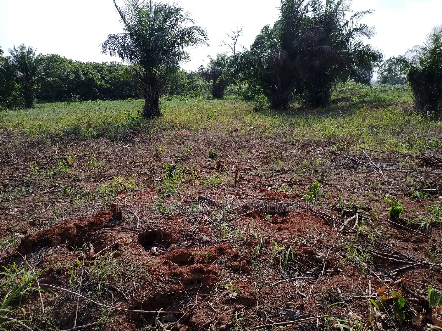 Land for Residence in Sunyani Municipal