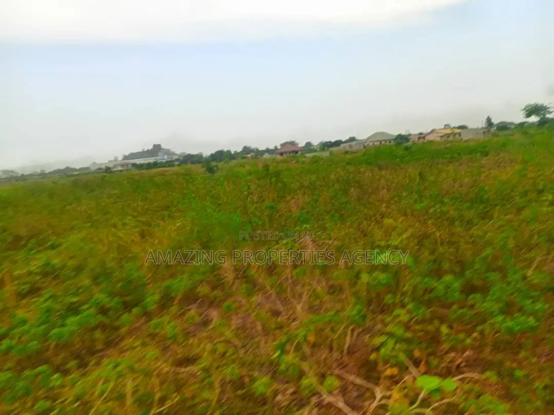 110x100 Plot of Land for Sale at American House in American House