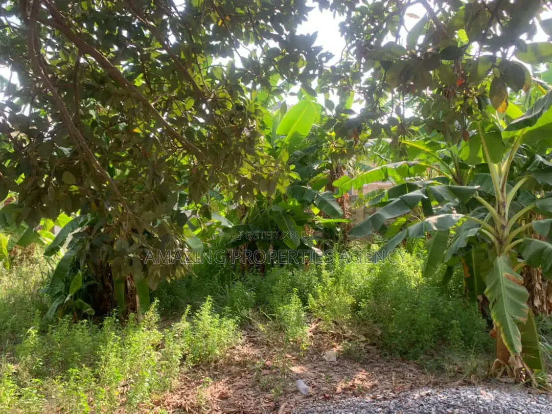 120x100 Plot of Land for Sale at Spintex in Spintex