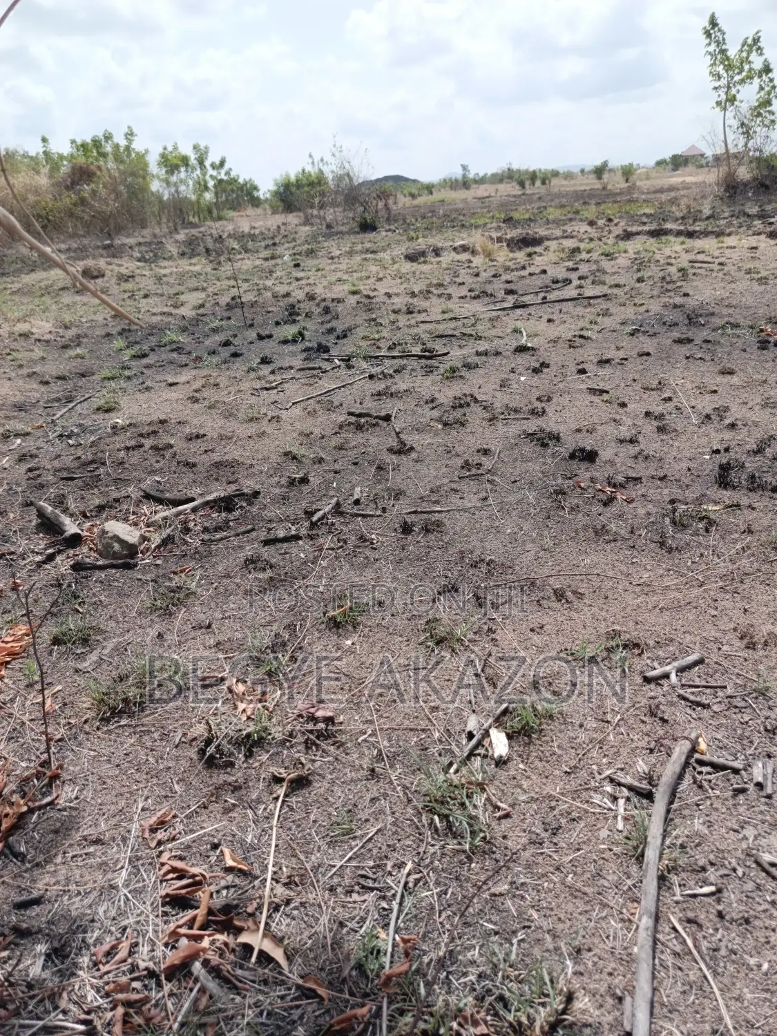 A Title Land for Sale at Dodowa-Ayikuma in Dodowa