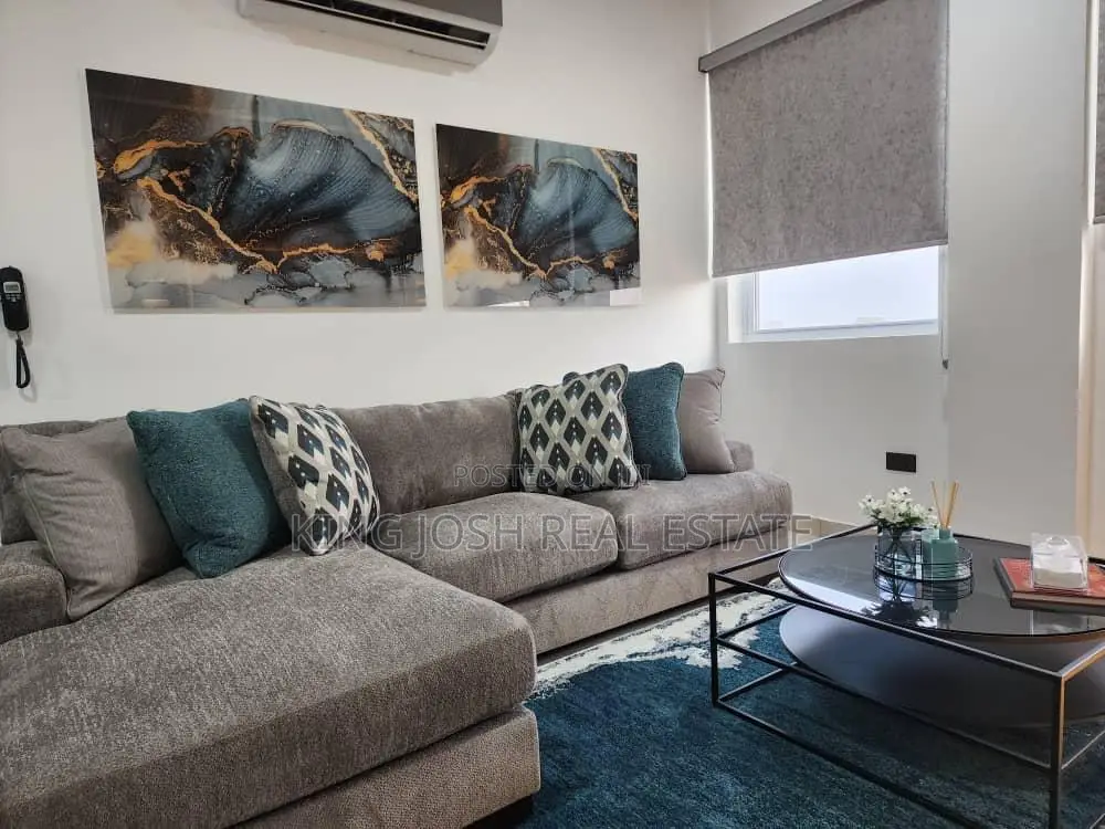 Fully Furnished 1 Bedroom Apartment for Rent at Cantonments in Cantonments