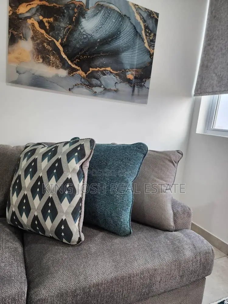Fully Furnished 1 Bedroom Apartment for Rent at Cantonments in Cantonments