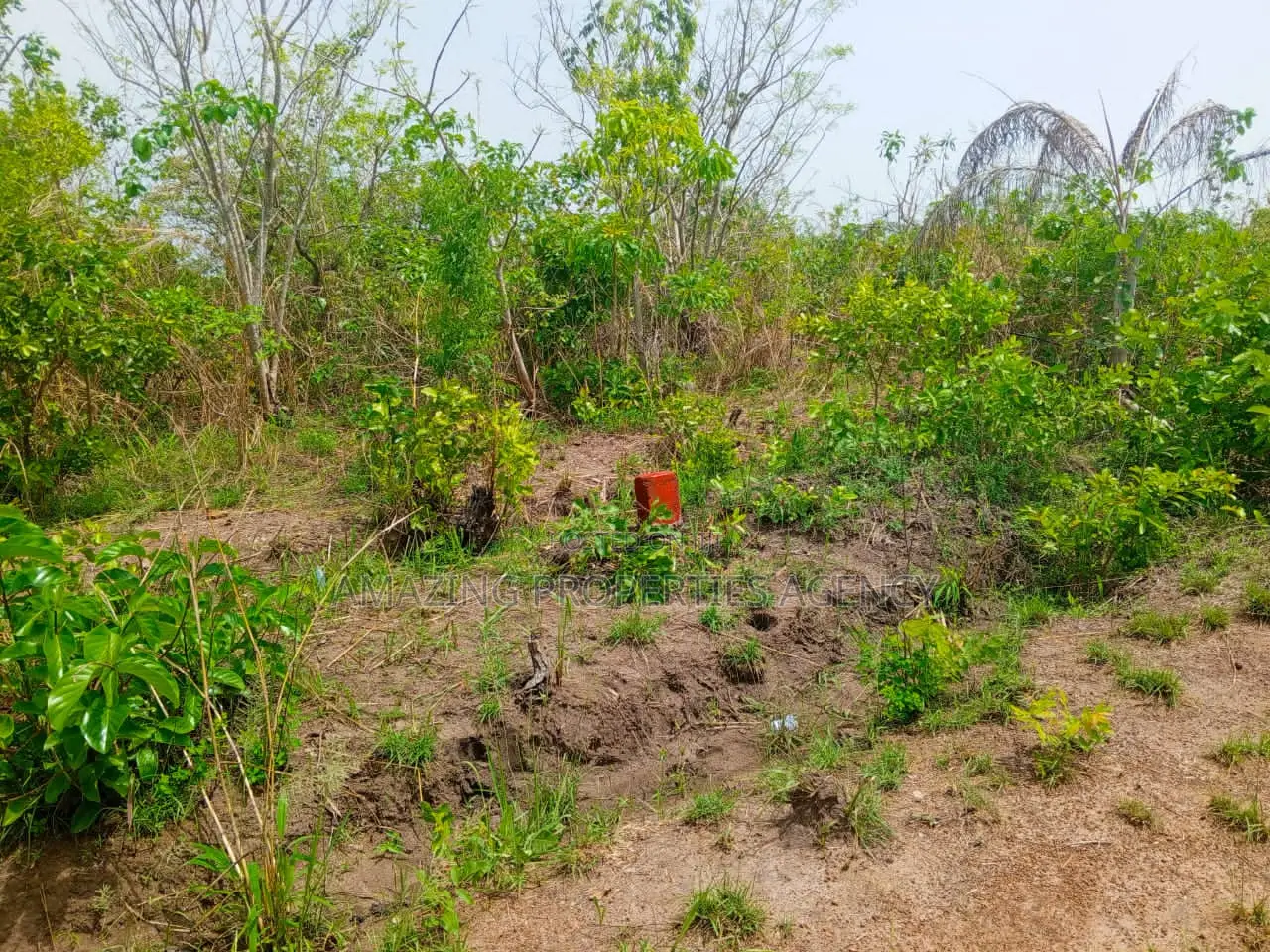 10 Acres of Land at Tema in Tema Metropolitan