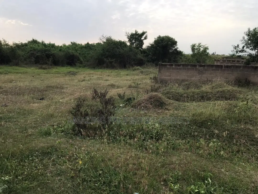 1 and Half Acres of Land at East Airport in Airport Residential Area