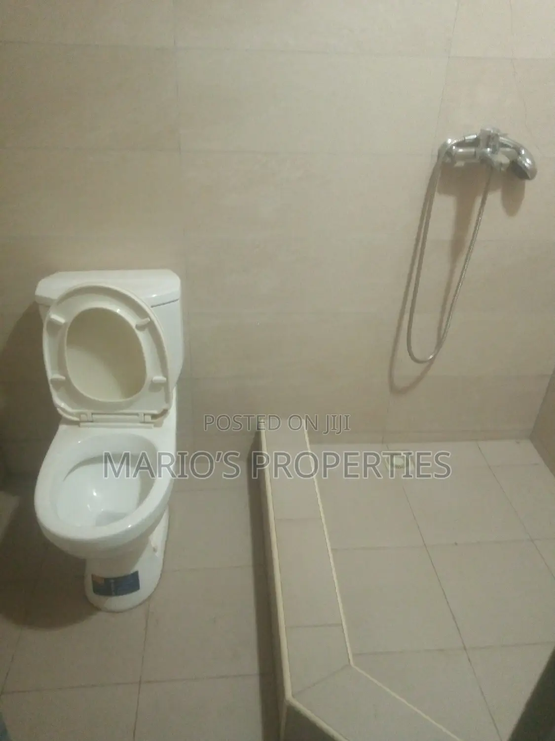 1bdrm Apartment in Marios Properties, Bawaleshie for rent in Bawaleshie