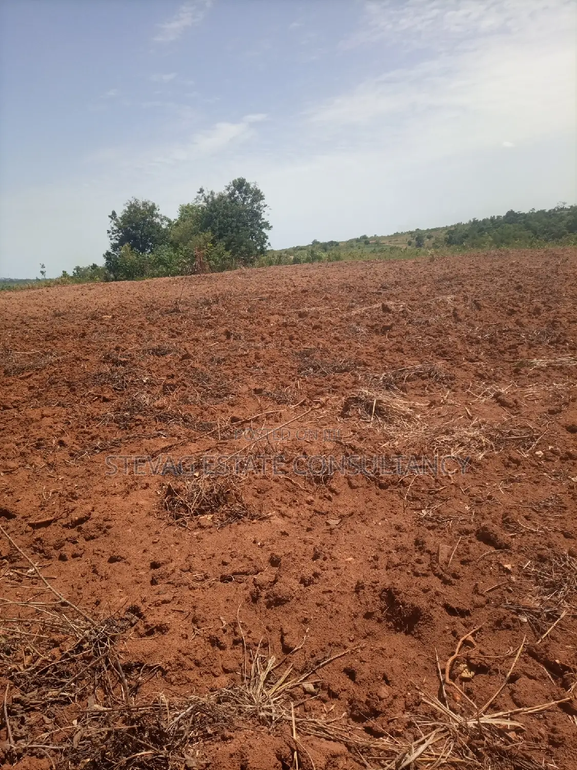 Alpha Properties Estate Land for Sale at Kasoa Buduatta in Gomoa East