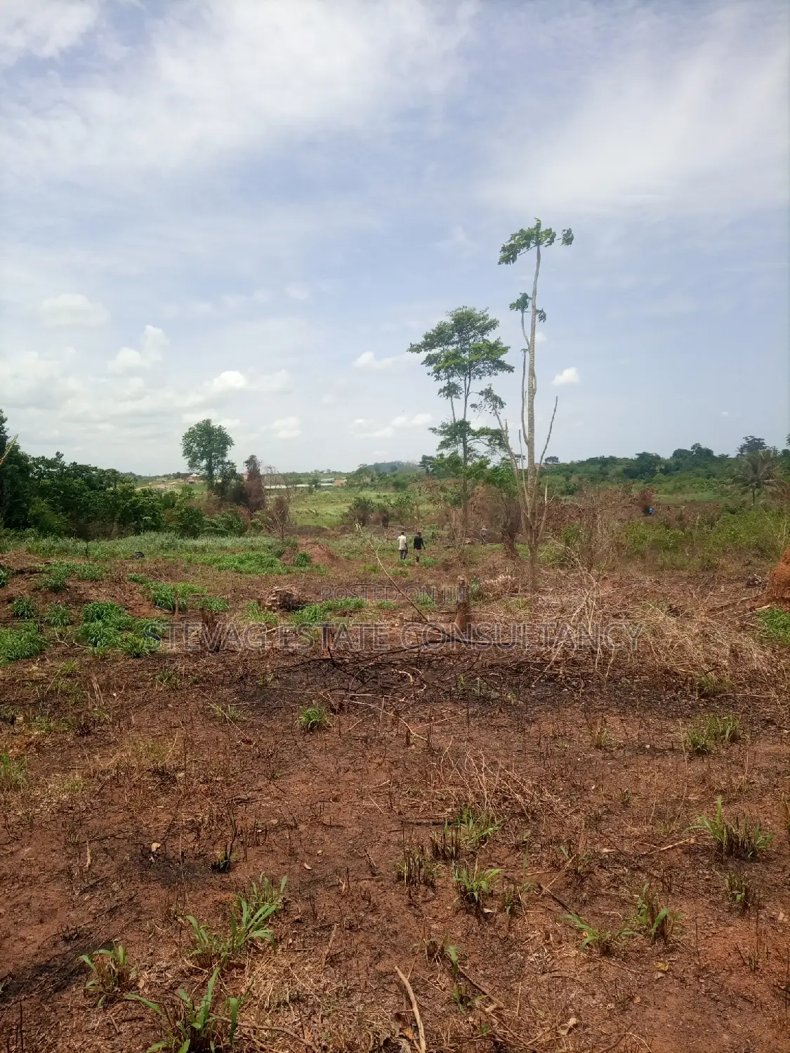 Alpha Estate Land for Sale at Kasoa Buduatta in Awutu Senya East Municipal