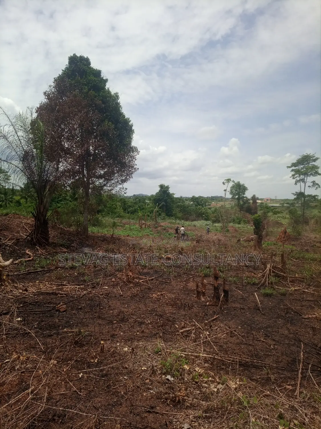 Alpha Estate Land for Sale at Kasoa Buduatta in Awutu Senya East Municipal