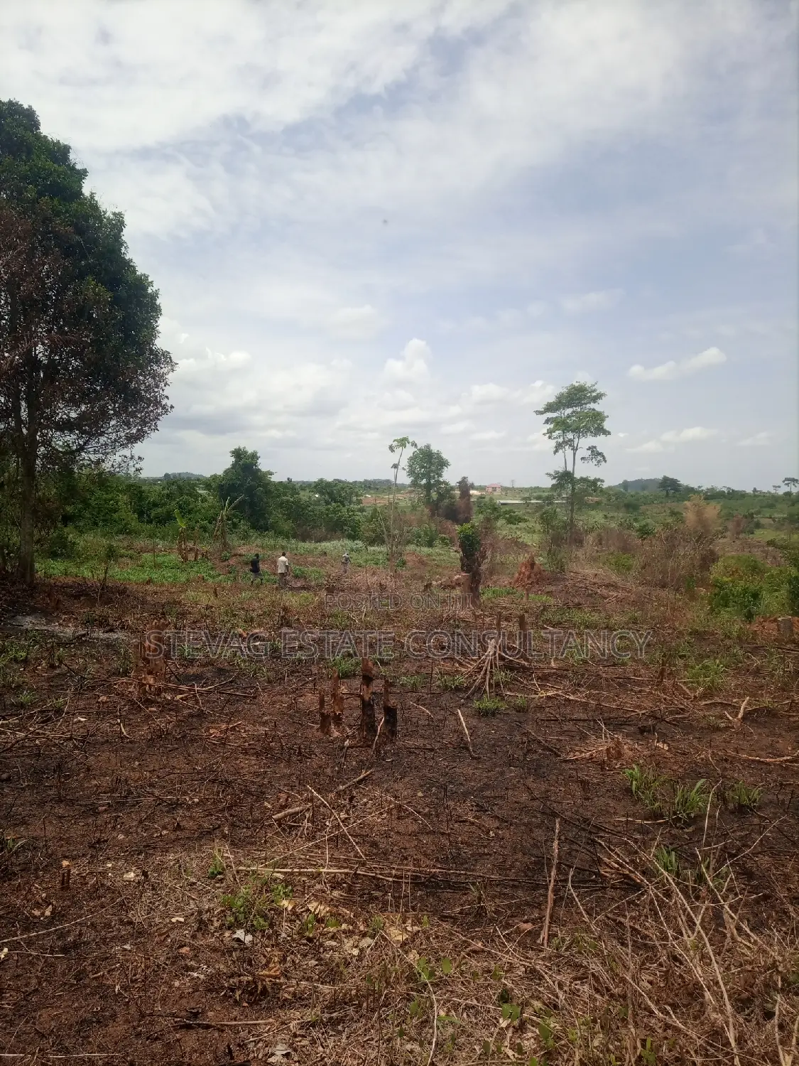 Alpha Estate Land for Sale at Kasoa Buduatta in Awutu Senya East Municipal