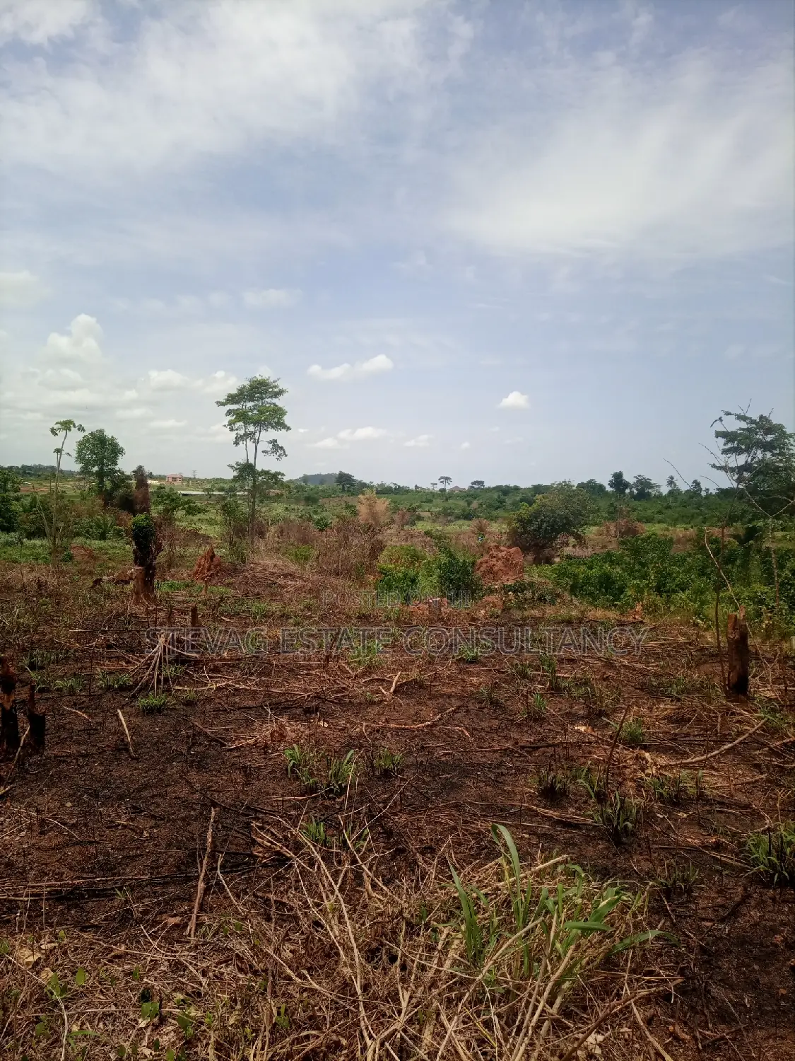 Alpha Estate Land for Sale at Kasoa Buduatta in Awutu Senya East Municipal