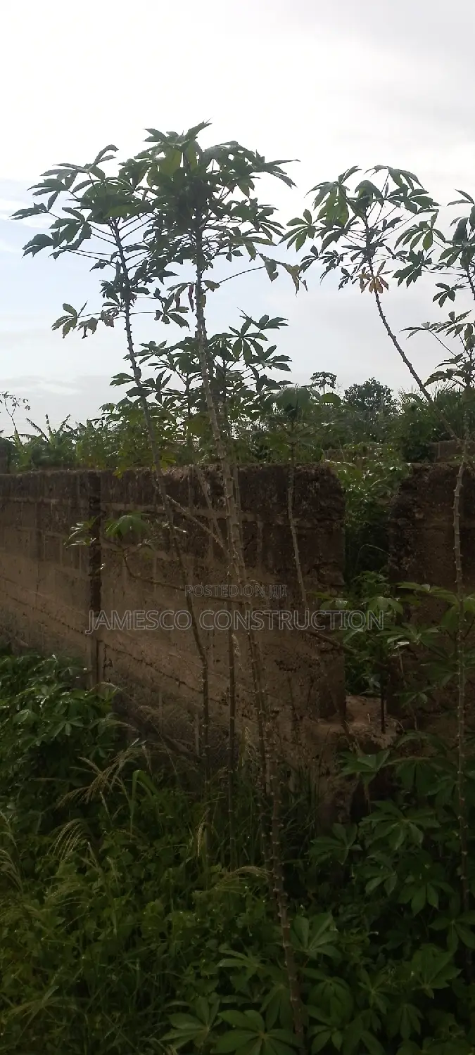 Two Plots of Residential Property for Sale in Ayensuano