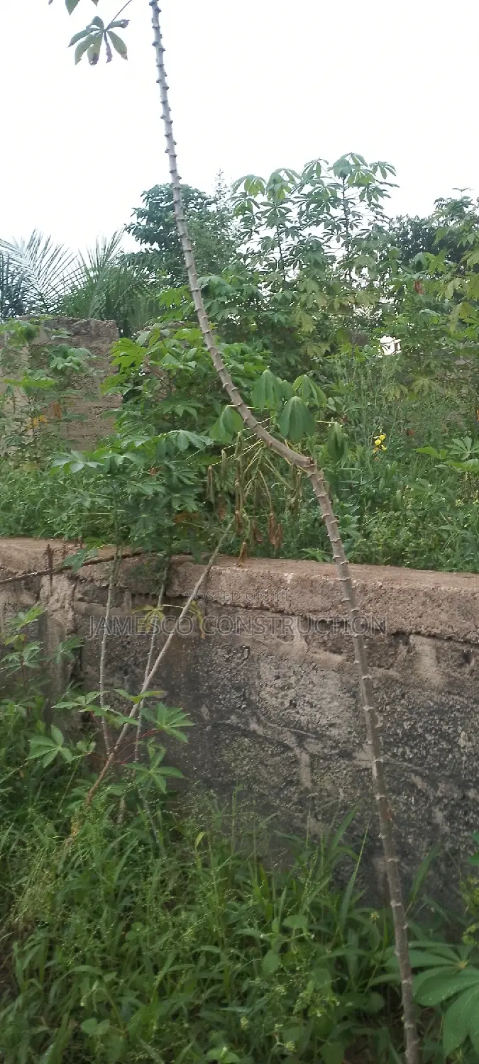 Two Plots of Residential Property for Sale in Ayensuano