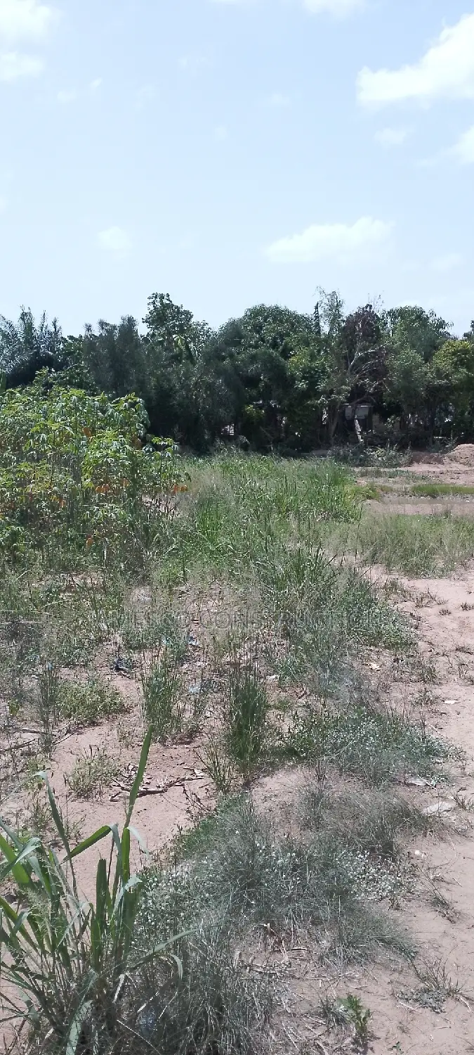 Residential Plot of Land for Sale Value Available in Ayensuano